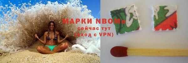 сатива Белокуриха