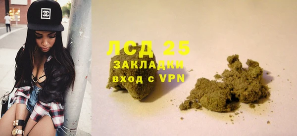 сатива Белокуриха