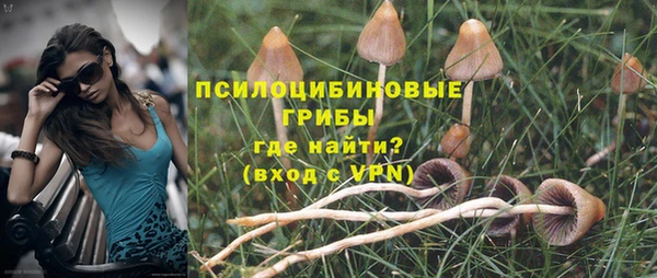 сатива Белокуриха