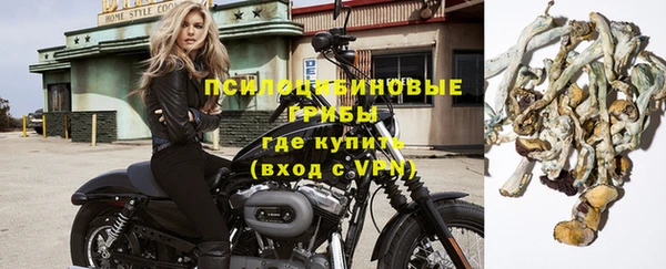 сатива Белокуриха