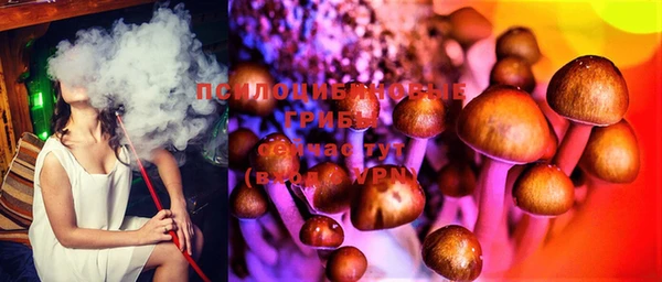 сатива Белокуриха
