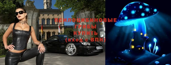 сатива Белокуриха