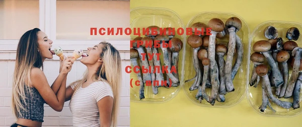 сатива Белокуриха